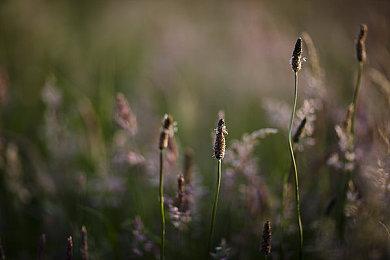 《英雄联盟》2022太空律动系列皮肤 含提莫冰女奥恩等英雄